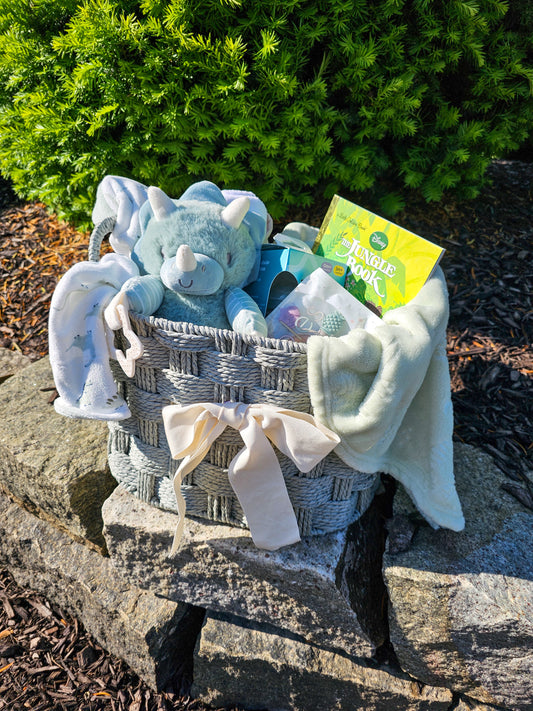 Baby Basket - Dinosaur