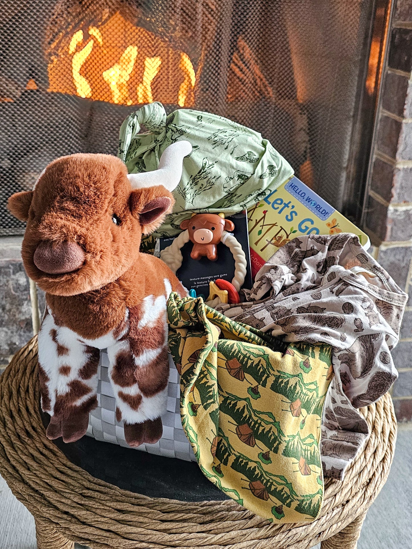 Baby Basket - Mountain