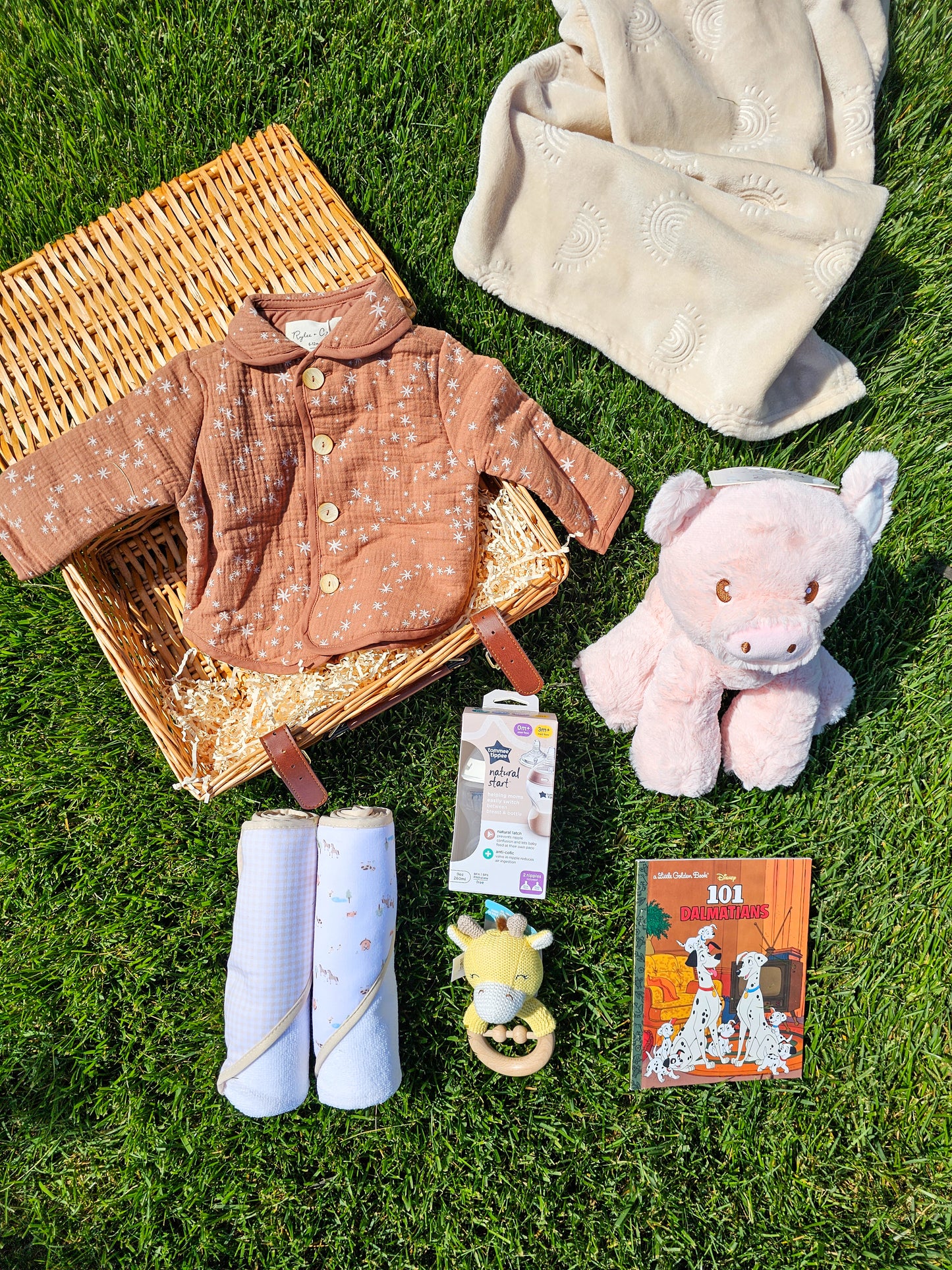 Baby Basket - Farm