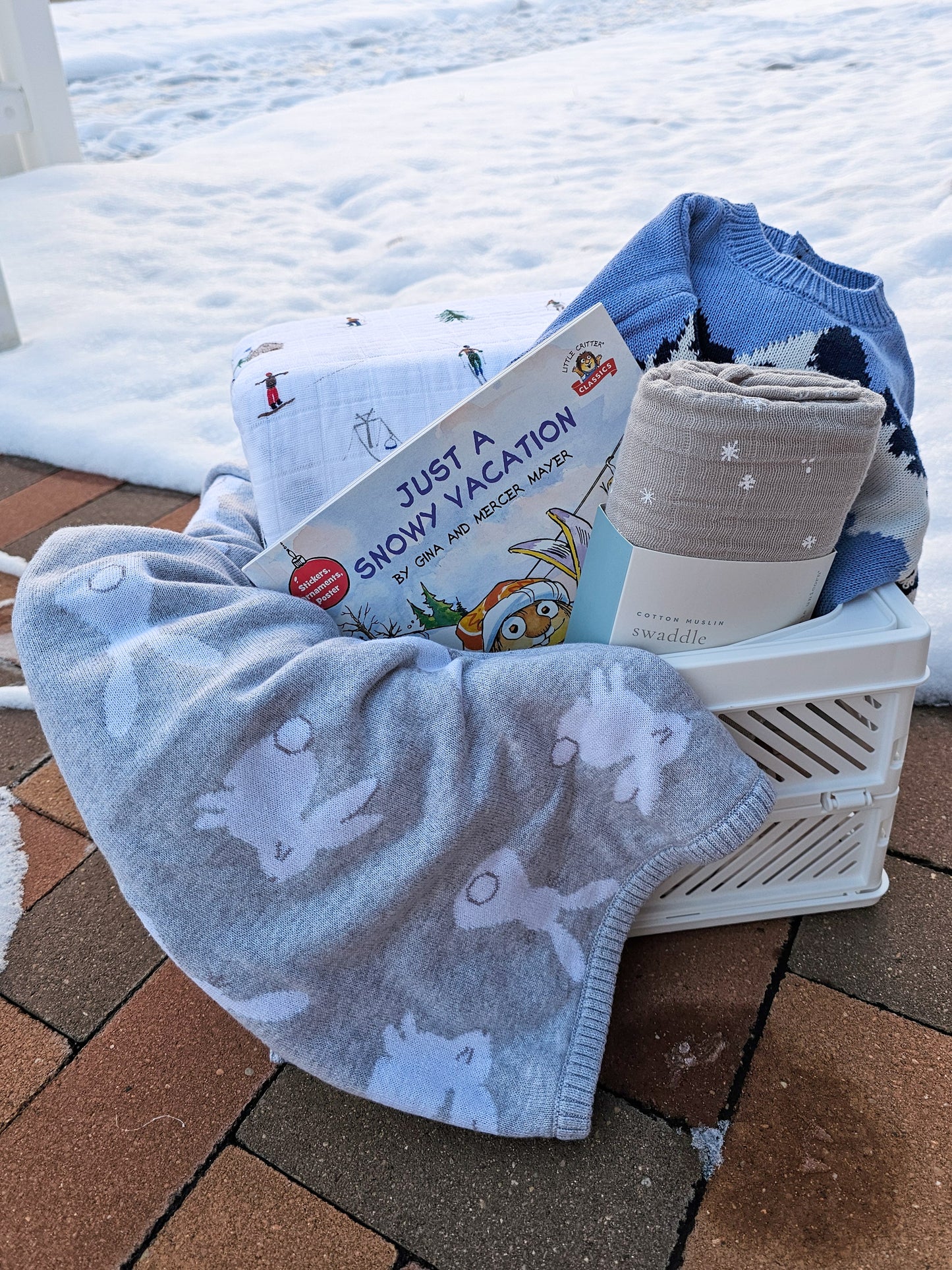 Baby Basket - Snow Bunny