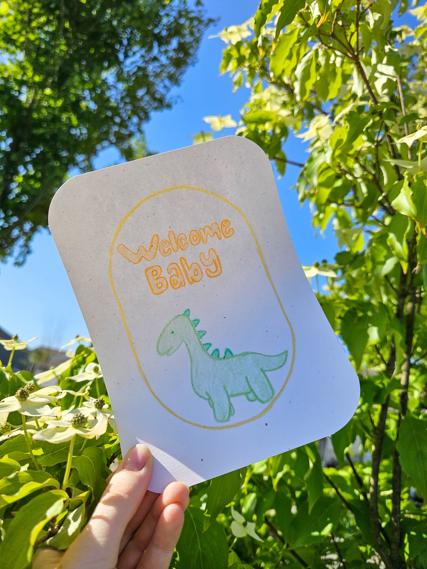Baby Basket - Dinosaur