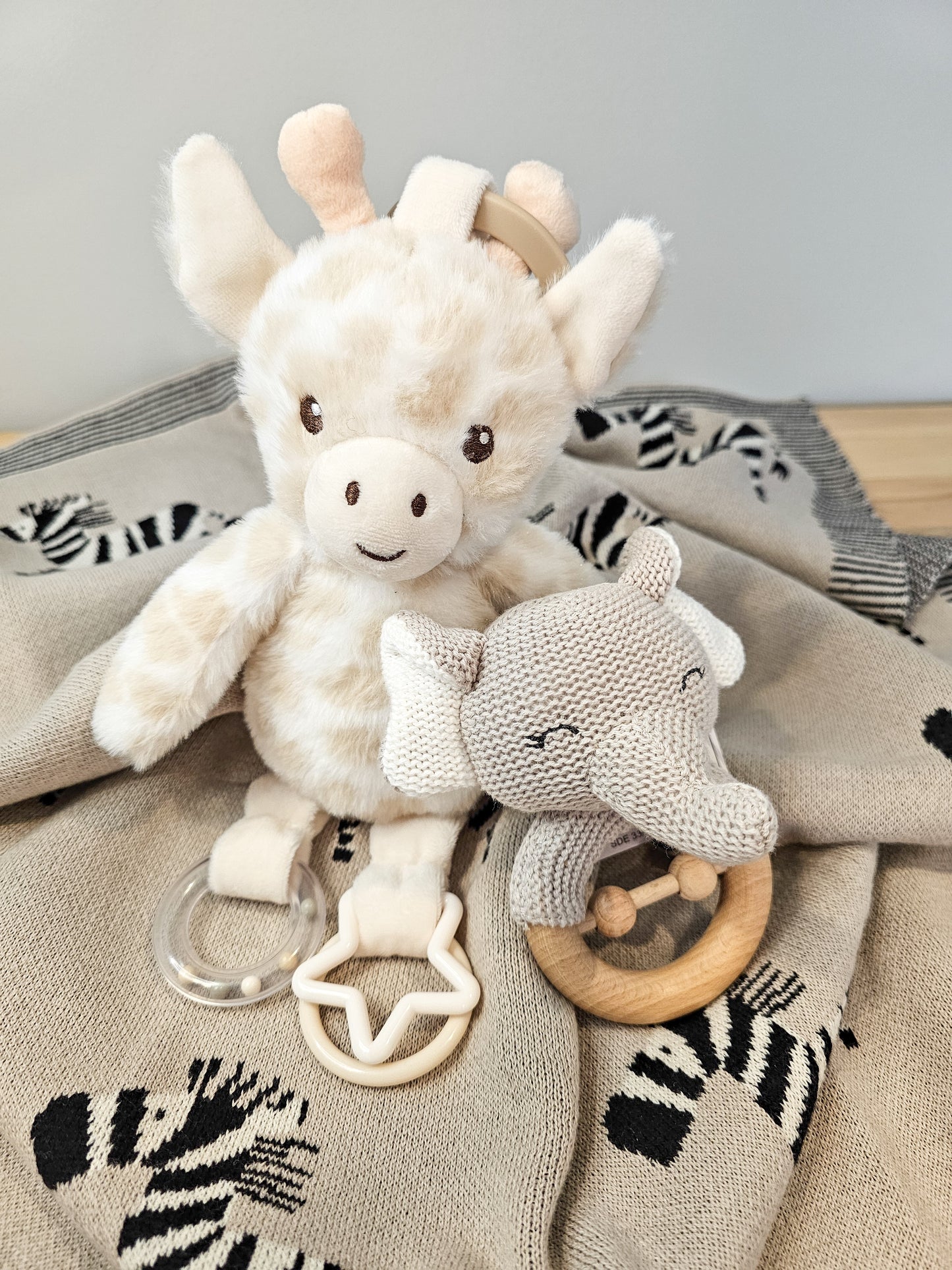 Baby Basket - Zoo